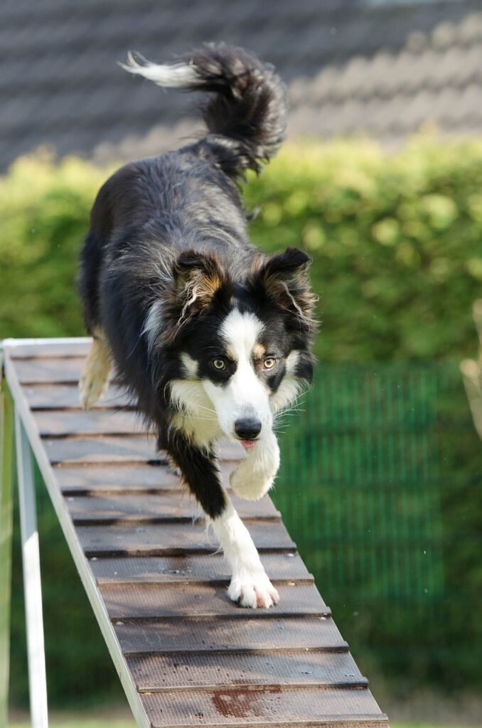 Advanced Agility Drills To Improve Athletic Performance