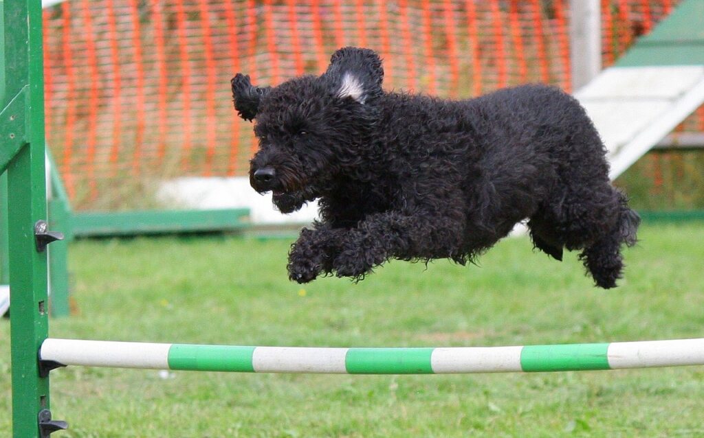 Advanced Agility Drills To Improve Athletic Performance