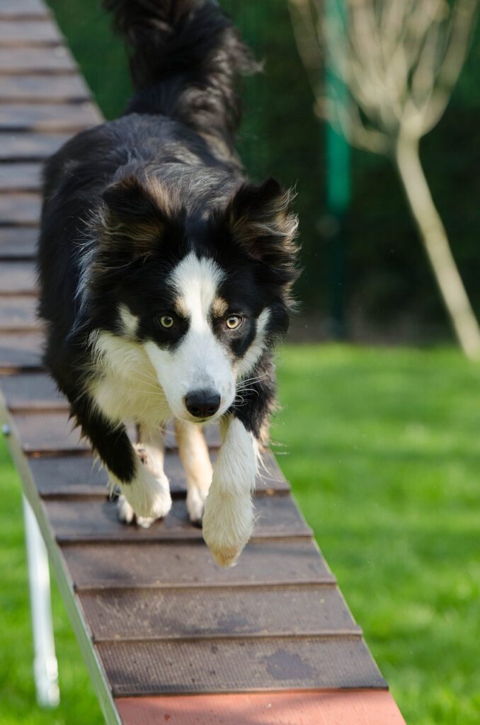 Advanced Agility Drills To Improve Athletic Performance