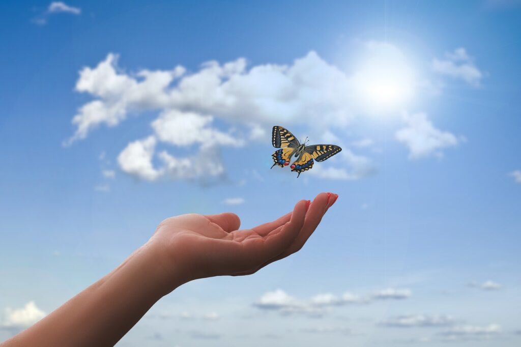 Benefits Of Proper Hydration For Cognitive Function