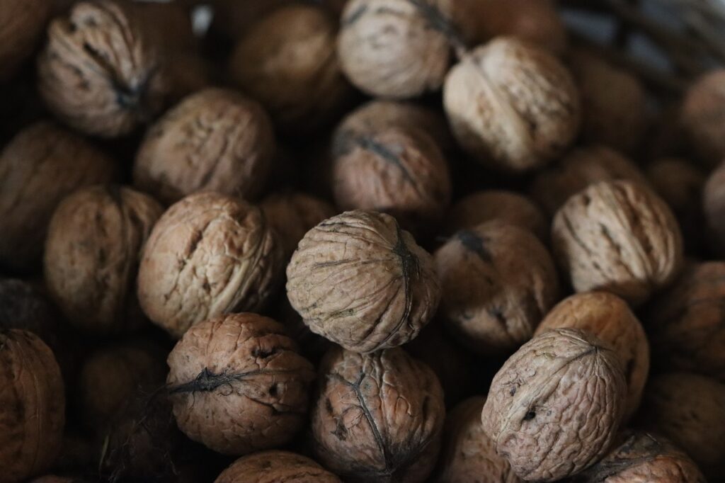 Best Foods To Boost Your Immune System