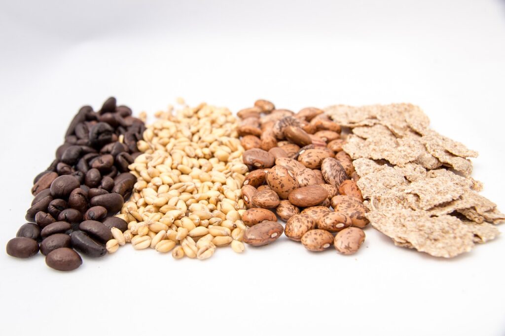 Best Foods To Boost Your Immune System