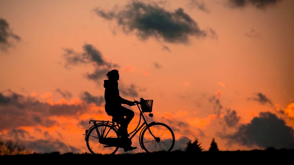 Best Time Of Day To Workout For Beginners