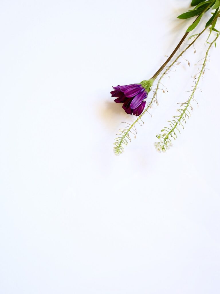 Best Ways To Relax And Unwind After A Long Day Best Ways To Relax And Unwind After A Long Day