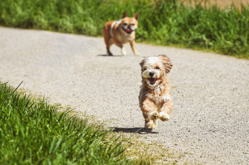 How To Build Endurance As A Beginner How To Build Endurance As A Beginner