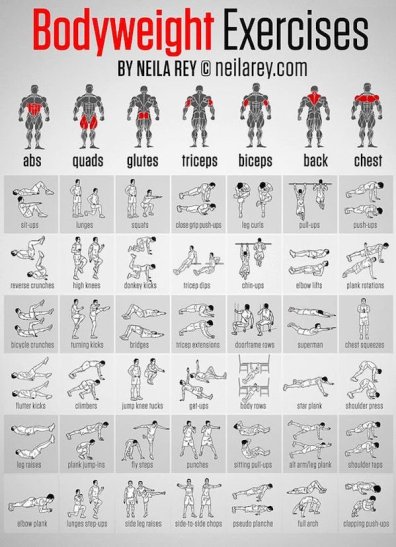 How To Create A Personalized Workout Routine How To Create A Personalized Workout Routine
