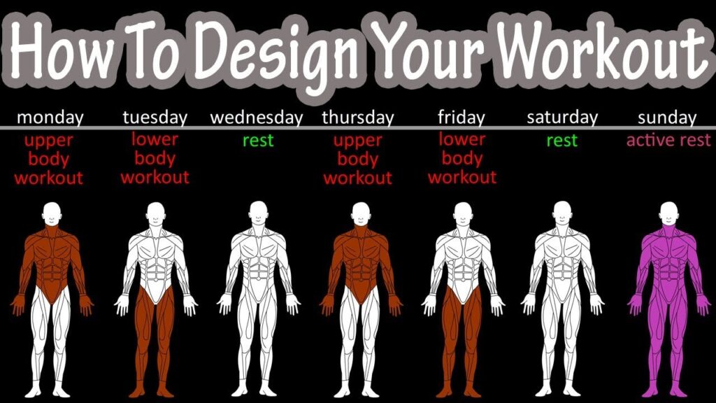How To Create A Personalized Workout Routine How To Create A Personalized Workout Routine