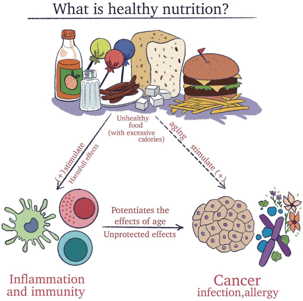 Key Nutrients To Focus On For Overall Immune Support Key Nutrients To Focus On For Overall Immune Support