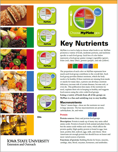 Key Nutrients To Include In Your Daily Diet Key Nutrients To Include In Your Daily Diet