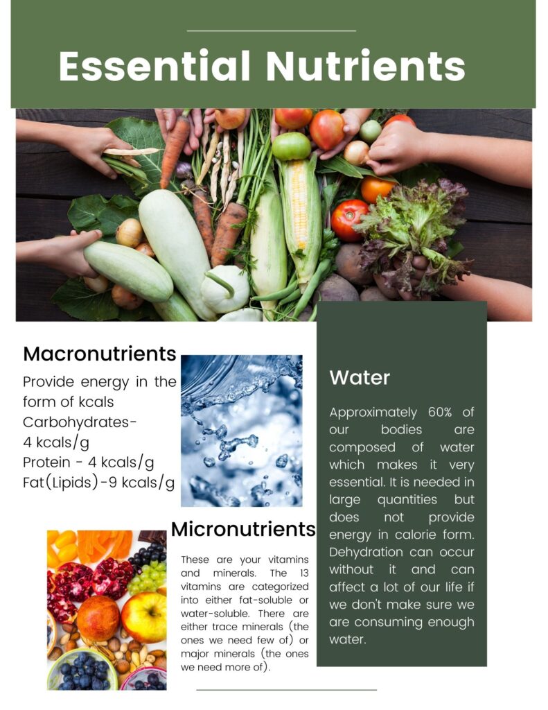 Key Nutrients To Include In Your Daily Diet Key Nutrients To Include In Your Daily Diet