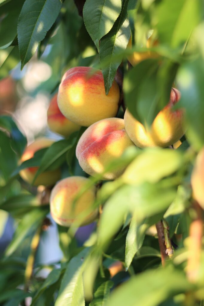 Most Popular Food Swaps For Healthier Alternatives