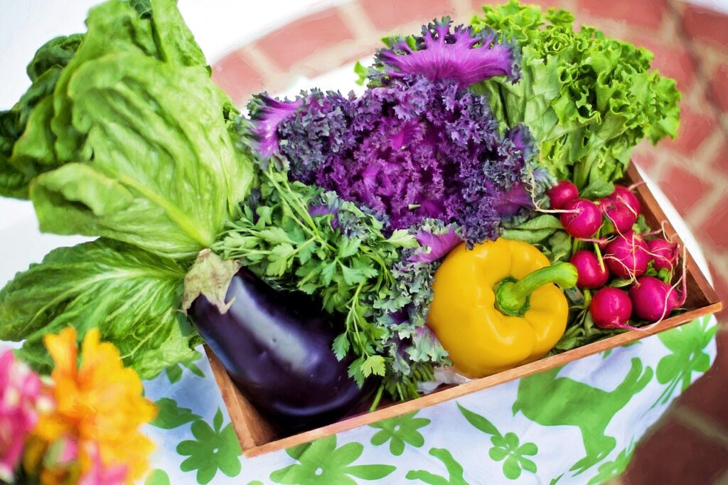 Most Popular Food Tracking Apps For Monitoring Nutrition