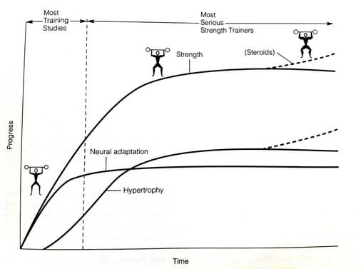 Optimizing Your Neural Adaptations For Advanced Strength Gains Optimizing Your Neural Adaptations For Advanced Strength Gains