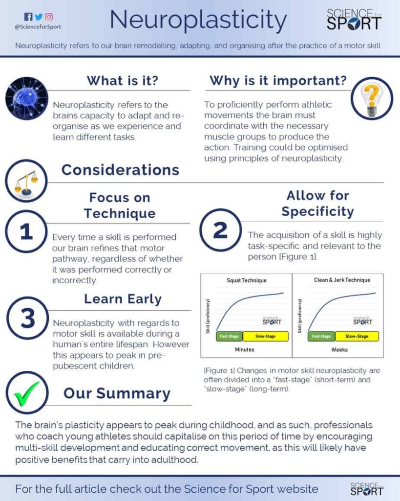 The Science Of Neuroplasticity And Its Role In Advanced Fitness Training The Science Of Neuroplasticity And Its Role In Advanced Fitness Training