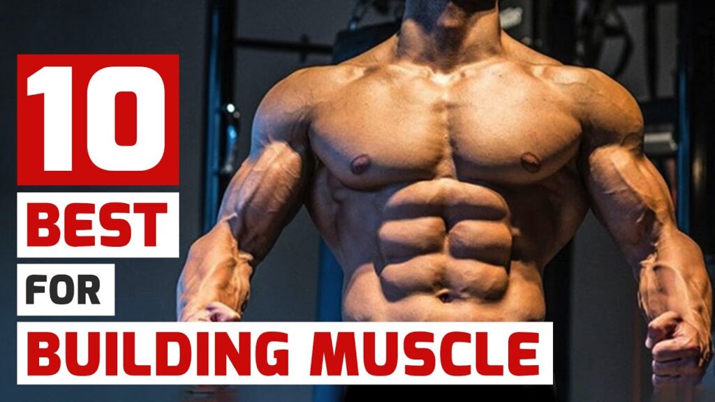 Top 10 Workouts To Build Muscle Top 10 Workouts To Build Muscle