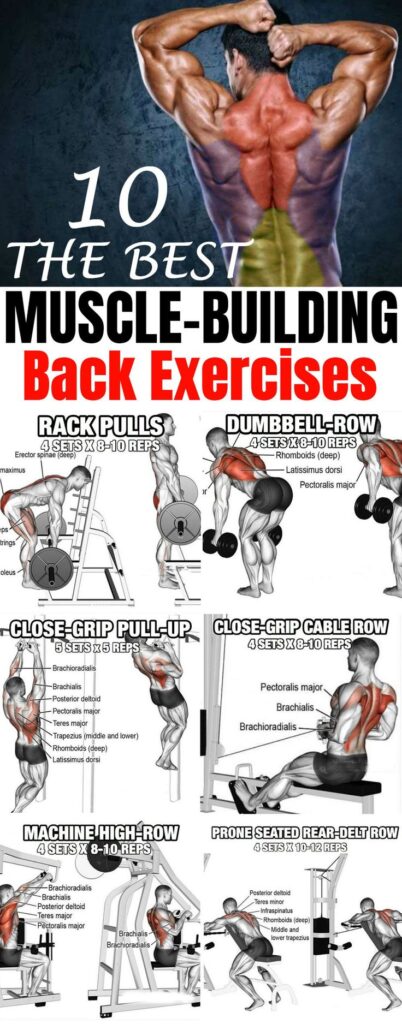 Top 10 Workouts To Build Muscle Top 10 Workouts To Build Muscle
