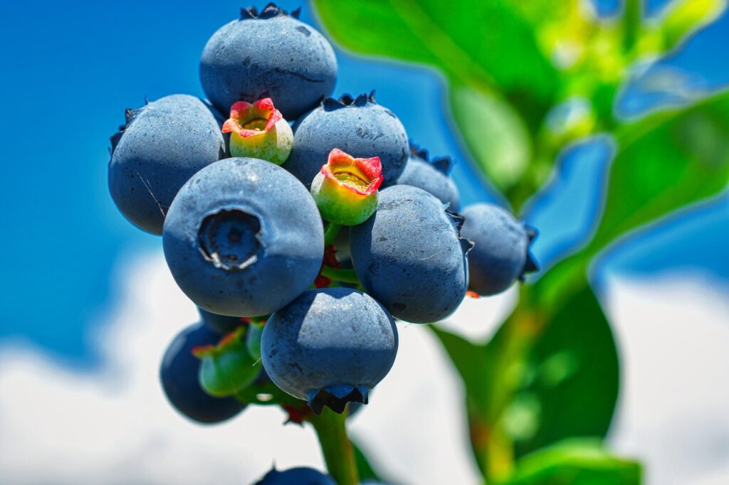 Top Ways To Increase Energy Levels Naturally Through Diet Top Ways To Increase Energy Levels Naturally Through Diet